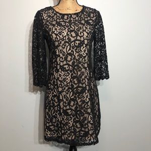 H&M Black & Tan Lace Cocktail Dress Size Small